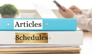 Important Articles and Schedules of the Indian Constitution