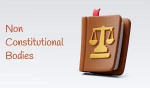 Non - Constitutional Bodies of India